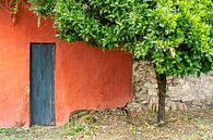 Rusticaler Hof in der Toscana von Rüdiger Rohmann Miniaturansicht