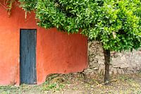Rustic courtyard in the toscana