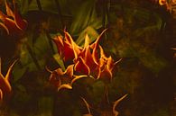 Modern botanical semi abstract tulips in orange, yellow on rusty brown and green by Dina Dankers thumbnail