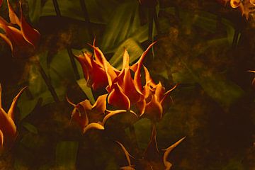 Modern botanical semi abstract tulips in orange, yellow on rusty brown and green by Dina Dankers