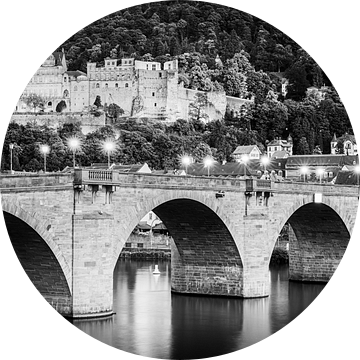 Kasteel Heidelberg in zwart-wit