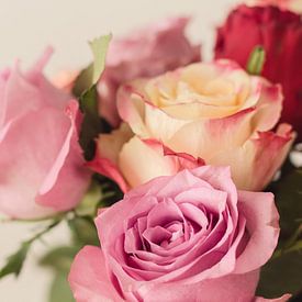 Roses pastel sur Ester Dammers