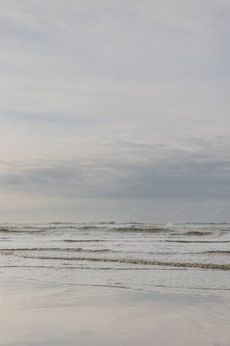 Pastel colours by the sea on the island of Terschelling I Nature photography