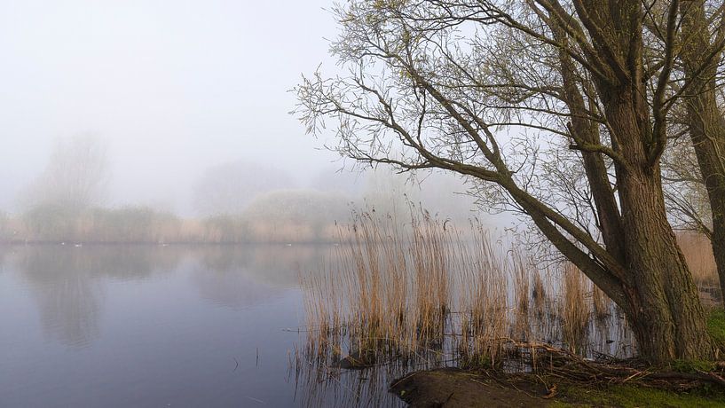 River covered with mist by Jan van der Wolf