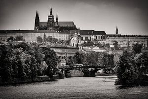 Prague - Skyline / Cathédrale St. Vitus