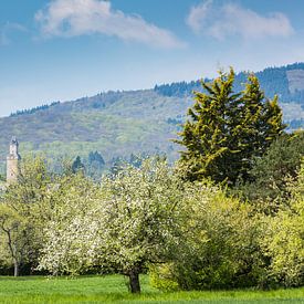 Kronberg Castle by Kerstin Dropmann