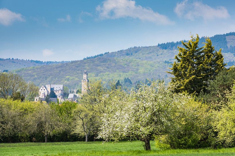 Burg Kronberg von Kerstin Dropmann