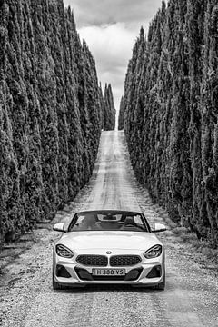 BMW Z4 sur Menno Schaefer