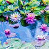 Étang avec nénuphars en fleurs sur Paula van den Akker