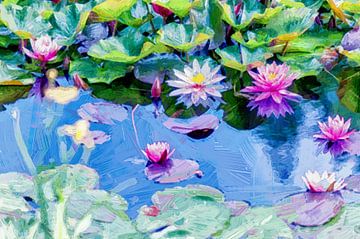 Étang avec nénuphars en fleurs