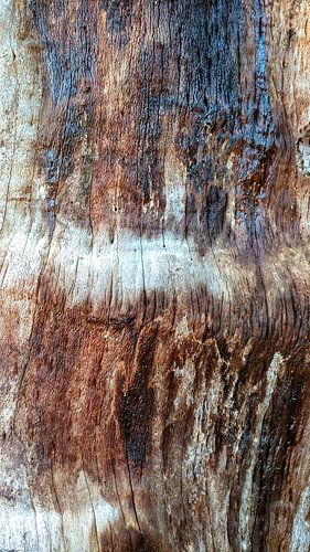 Oppervlakte boomstam abstract