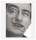 Artwork with Salvador Dali by Atelier Liesjes thumbnail