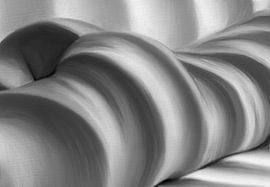 Nuances de gris sur Intimate Artwork