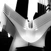 Santiago Calatrava's Oculus (New York) van Perry van Herpen