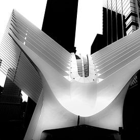 Santiago Calatrava's Oculus (New York) sur Perry van Herpen