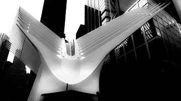 Santiago Calatrava's Oculus (New York) van Perry van Herpen