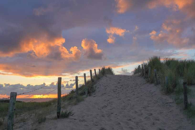 Dunes, beach and sea on the Dutch coast by Dirk van Egmond