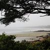 Beach in Tofino   Schooner Cove von Elisabeth Eisbach
