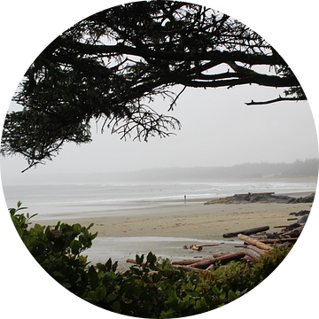 Beach in Tofino   Schooner Cove