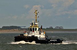 Multratug 7 von Henk Noevers