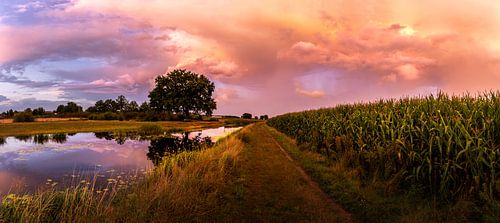 Coucher de soleil, paysage de nuages, panorama