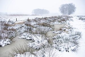 Winterwunderland