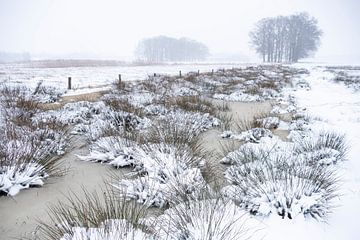 Winter wonderland by Affect Fotografie