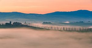 Sonnenaufgang Poggio Covili, Val d'Orcia, Toskana, Italien