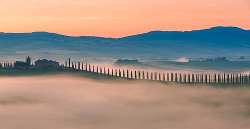 Zonsopkomst Poggio Covili, Val d'Orcia, Toscane, Italië