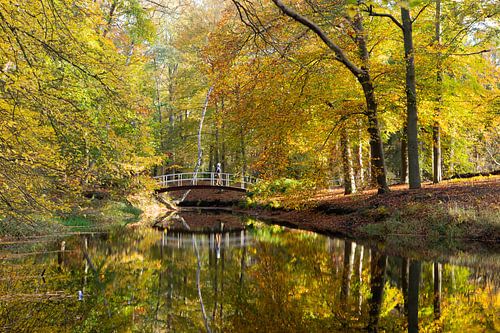 Herfst kleuren en reflectie, bruggetje in het park