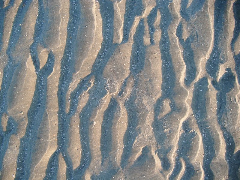 strand by Desiree Barents