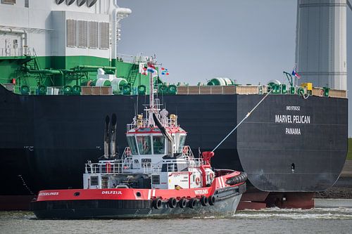 Tug Waterlines with Marvel Pelican