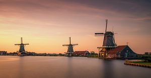 Drie windmolens op Zaanse Schans rond zonsondergang