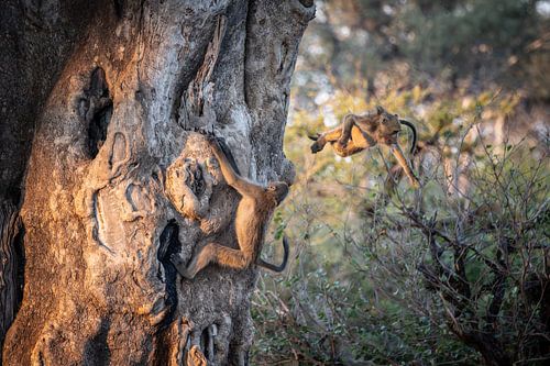 Een sprong in het diepe
