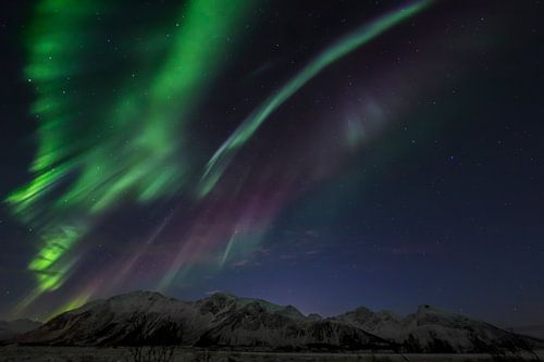 Aurora Borealis - Northern Lights on the Lofoten Islands