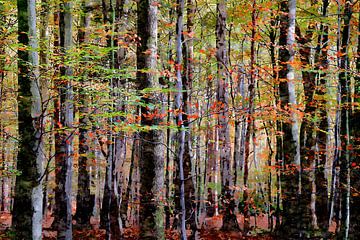 Forest von Andreas Wemmje