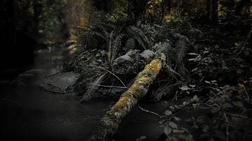 Uitzicht op het verbazingwekkende en idyllische Noorse landschap. Herfstfoto van bergen en rivieren. van Peter Jacek