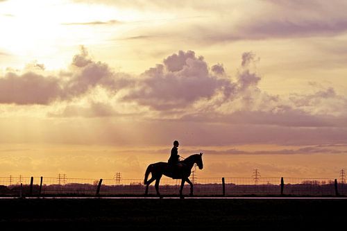Zonsondergang met ruiter