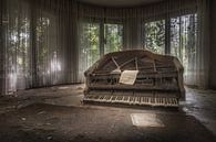 Piano in een verlaten Villa van Wim van de Water thumbnail