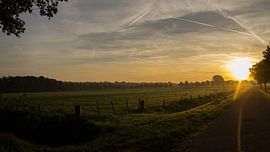 Nature 002 by RiBi Photography