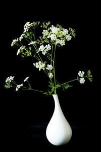persil de vache dans un vase blanc sur Karin Riethoven