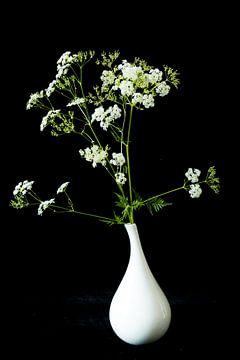 fluitenkruid in een witte vaas van Karin Riethoven