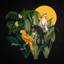 a Tropical Collage by Marja van den Hurk