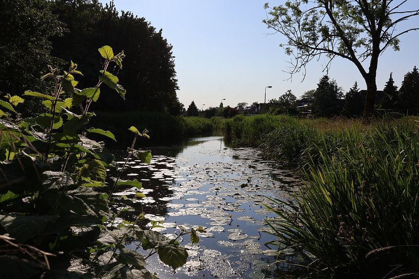 Animals and Nature by Lennart Mans