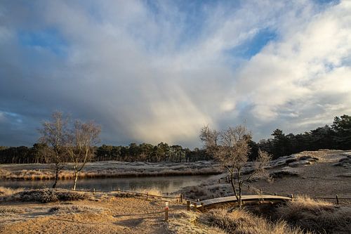 Winter op landgoed Heidestein Bornia in Driebergen Zeist