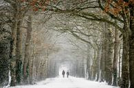 Wandelen in winter wonderland van Chris Biesheuvel I  Dream Scapes thumbnail