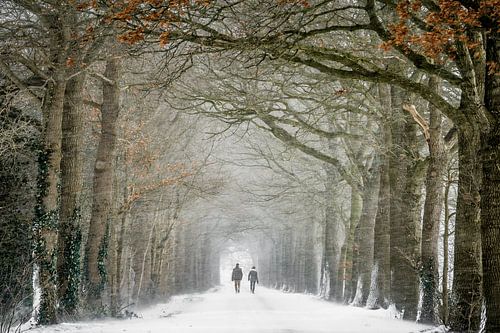 Wandelen in winter wonderland