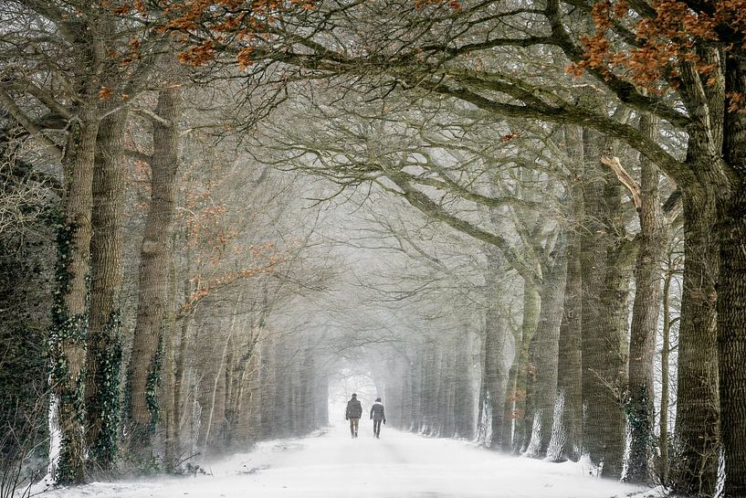 Wandelen in winter wonderland van Chris Biesheuvel I  Dream Scapes