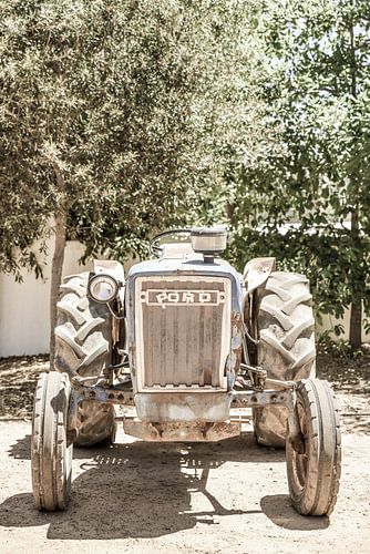 Ruige trekker scène