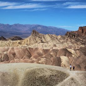 Het maanlandschap van Death Valley, Verenigde Staten van Wouter van der Ent